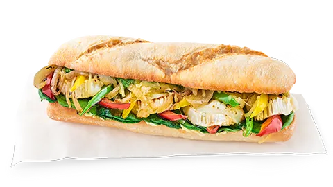 Hot veggi sandwich