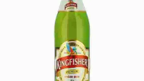 Kingfisher bier 660 ml