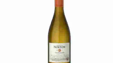 Huiswijn wit droog - Chardonnay Norton