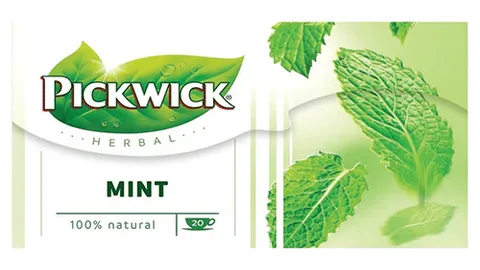 Pickwick herbal goodness munt 20 stuks