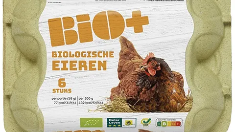 Bio+ biologische eieren 6 stuks