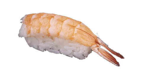 Ebi nigiri