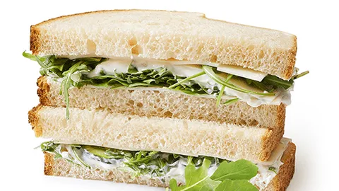 Sandwich vega