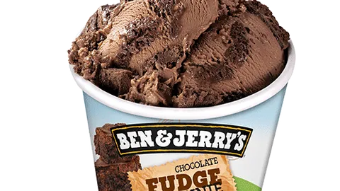 Ben & Jerry's Non-Dairy Chocolate Fudge Brownie 100ml