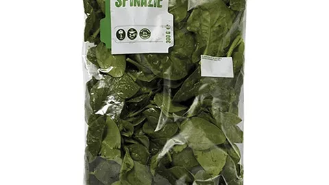 Lekker-Makkelijk spinazie 300 gram