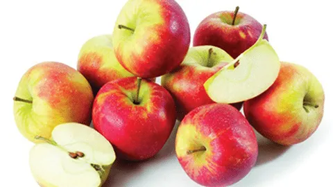 Elstar appels 1.5 kilo