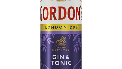 Gordon's gin tonic 250ml