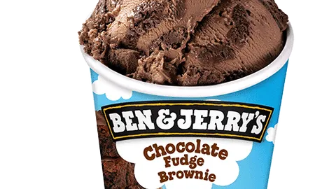 Ben & Jerry's Chocolate Fudge Brownie 465ml