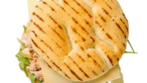 Hot sandwich tuna melt