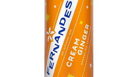 Fernandes cream ginger 330ml