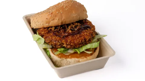 Willy's Crunchy chicken Burger