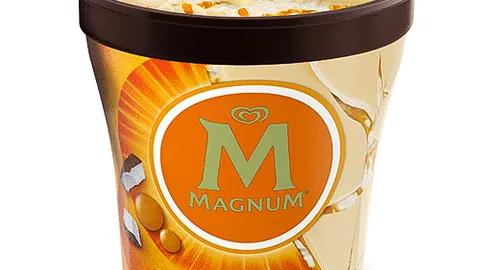 Magnum Pint Double Sunlover Coconut Ice Cream 440ml