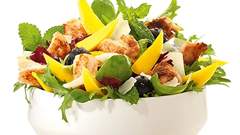 Grilled chicken salade