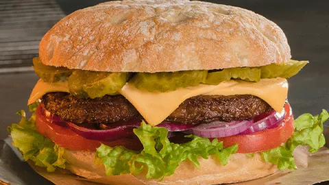 Vegan cheese burger