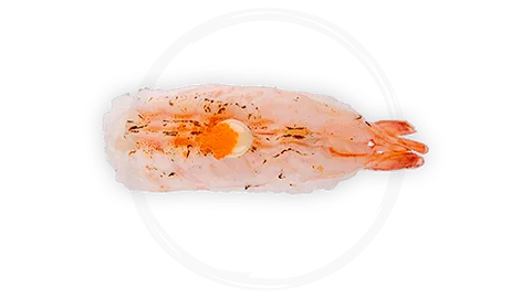 Flamed ebi nigiri