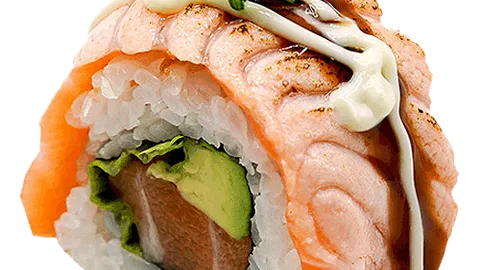 Double salmon roll