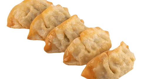 Fried gyoza