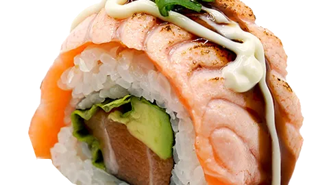 Double salmon roll