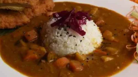 Vegan Chicken Katsu Curry
