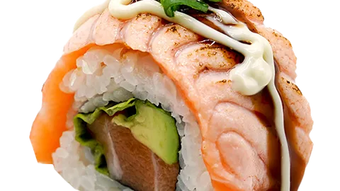 Double salmon roll