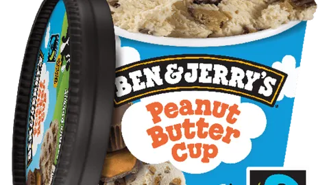 Ben & Jerry's Peanut Butter Cup 100 ml